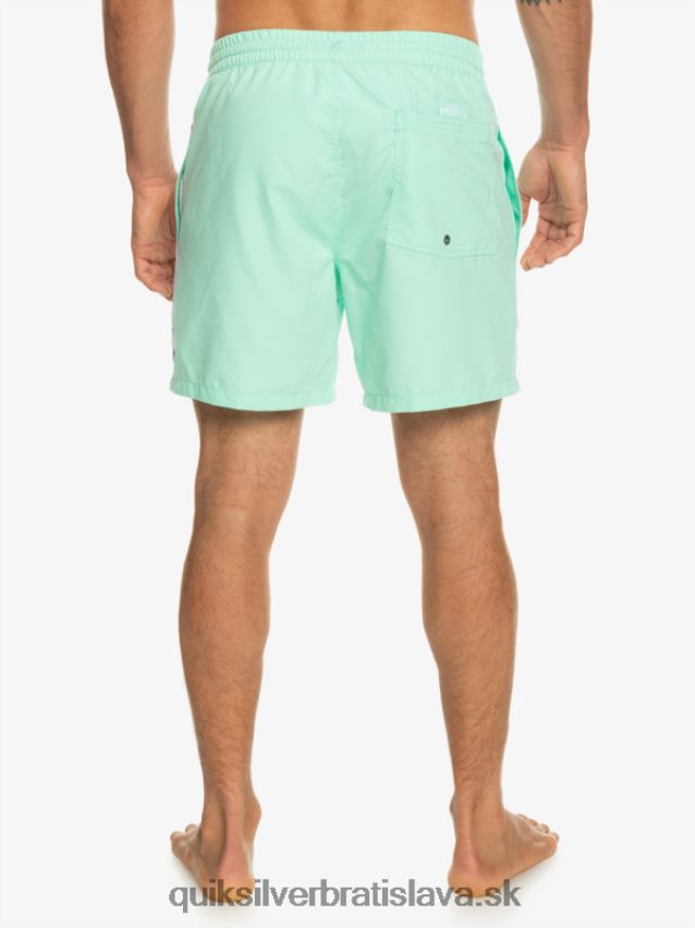 každodenný vert 16 volejov Quiksilver muži B80HXR702 plážové sklo