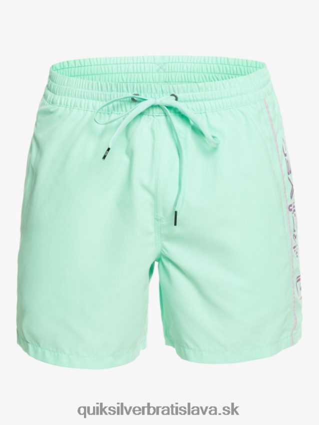 každodenný vert 16 volejov Quiksilver muži B80HXR702 plážové sklo