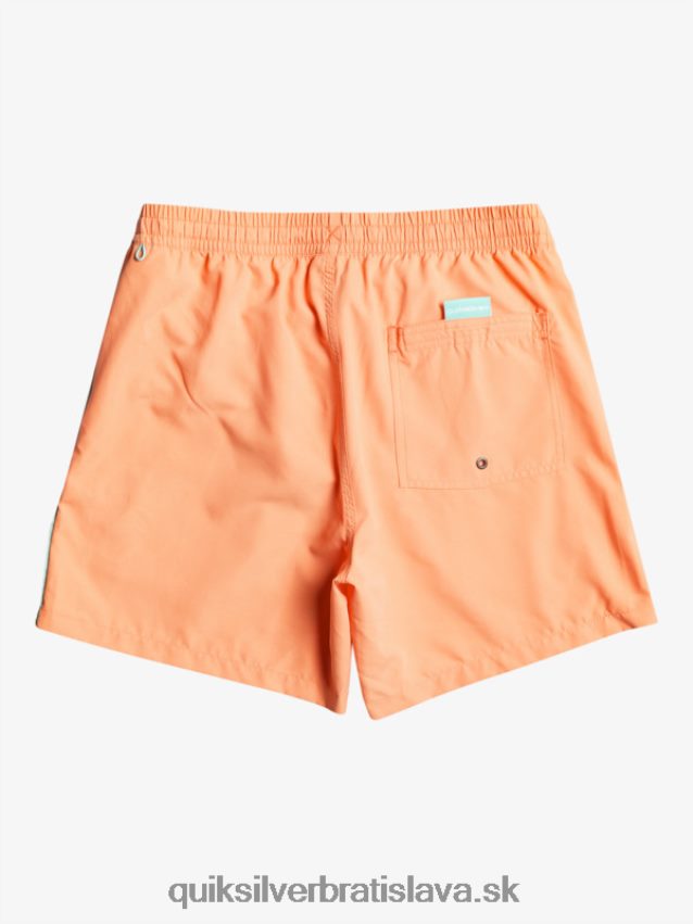 každodenný vert 16 volejov Quiksilver muži B80HXR703 čerstvý losos