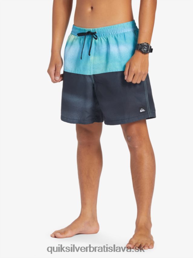 logo na zadok 17 volley Quiksilver muži B80HXR482 riečna modrá
