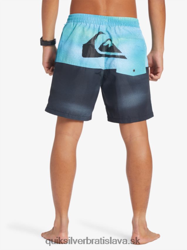 logo na zadok 17 volley Quiksilver muži B80HXR482 riečna modrá