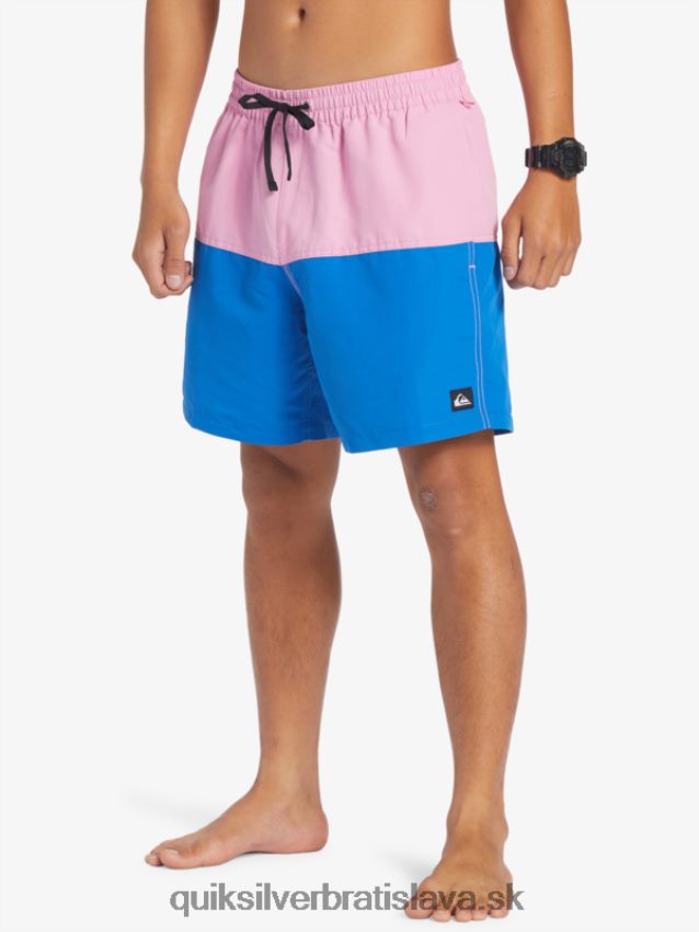 logo na zadok 17 volley Quiksilver muži B80HXR484 mesačná svetlofialová