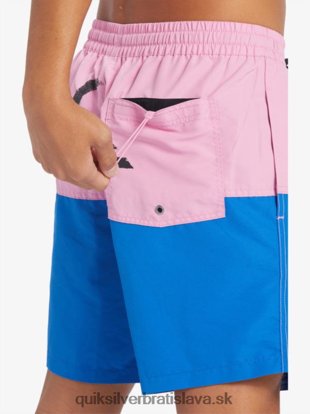 logo na zadok 17 volley Quiksilver muži B80HXR484 mesačná svetlofialová
