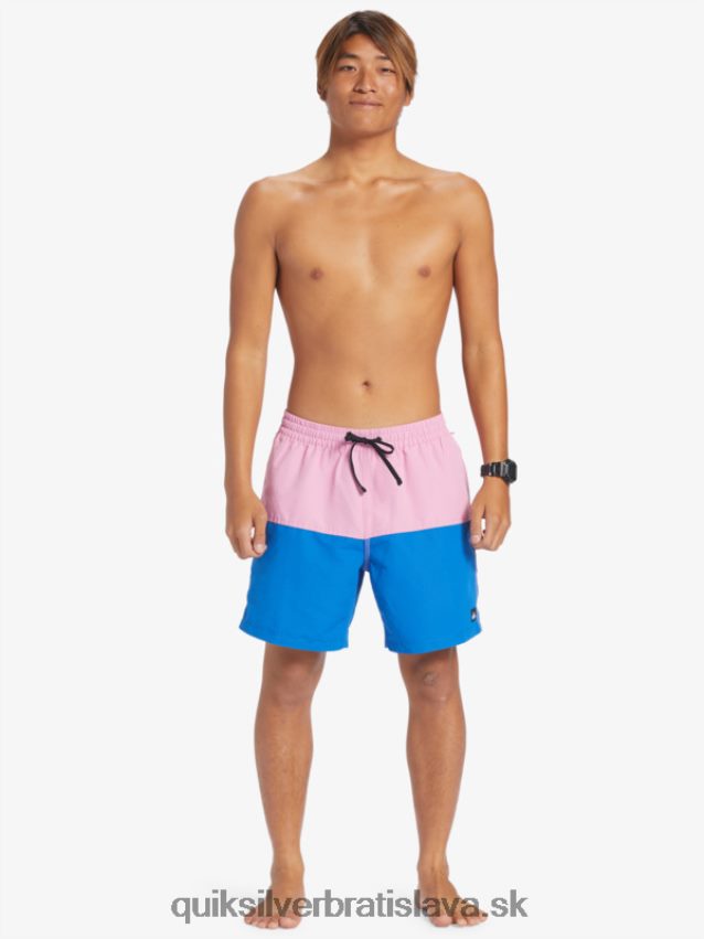 logo na zadok 17 volley Quiksilver muži B80HXR484 mesačná svetlofialová