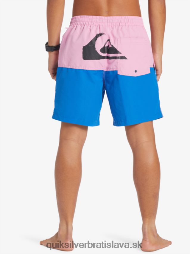 logo na zadok 17 volley Quiksilver muži B80HXR484 mesačná svetlofialová