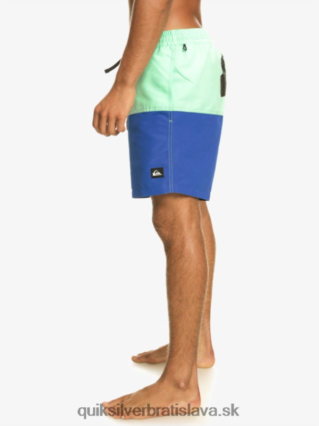 logo na zadok 17 volley Quiksilver muži B80HXR485 šnorchlovať modrá