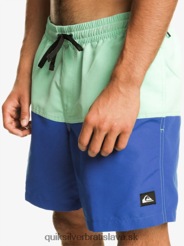 logo na zadok 17 volley Quiksilver muži B80HXR485 šnorchlovať modrá