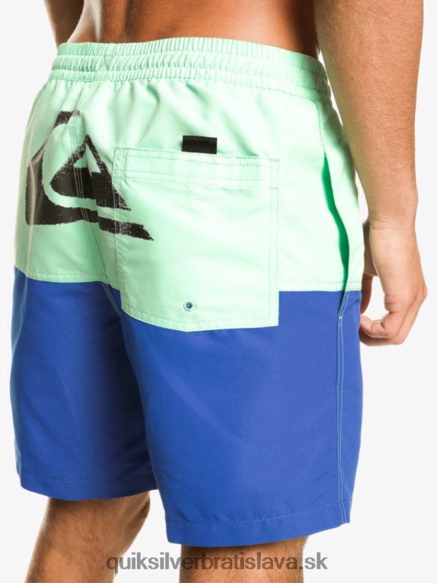 logo na zadok 17 volley Quiksilver muži B80HXR485 šnorchlovať modrá
