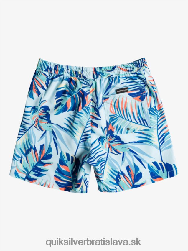 oceán mix 17 salv Quiksilver muži B80HXR1707 ľadové akva