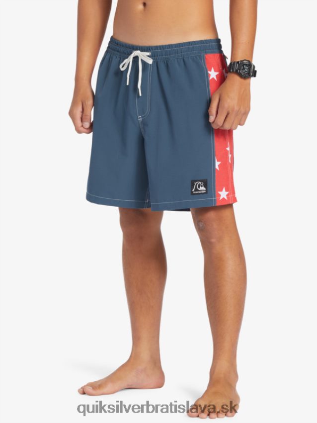 pôvodný oblúk 17 salv Quiksilver muži B80HXR533 polnočné námorníctvo