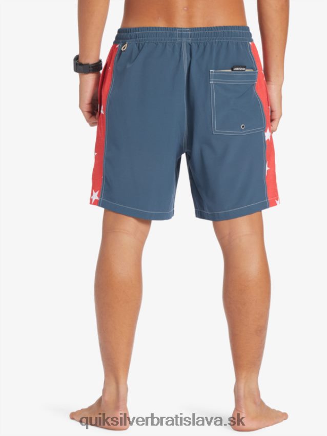 pôvodný oblúk 17 salv Quiksilver muži B80HXR533 polnočné námorníctvo