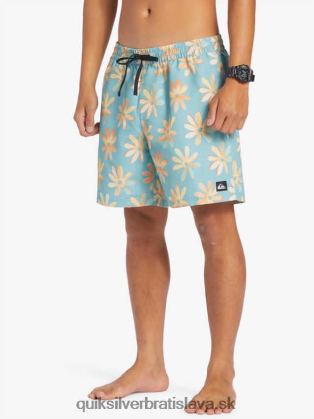 remix 17 volejov Quiksilver muži B80HXR353 cameo modrá