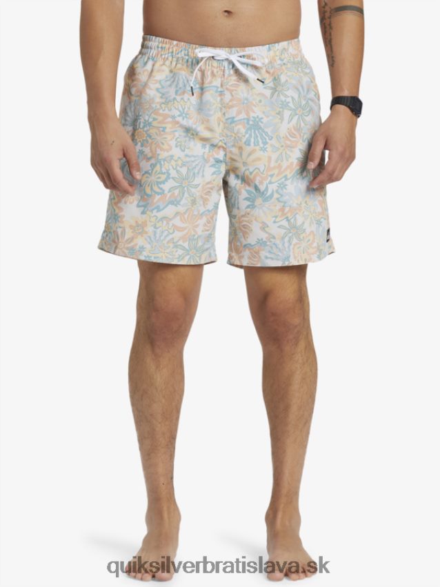 remix 17 volejov Quiksilver muži B80HXR357 breza
