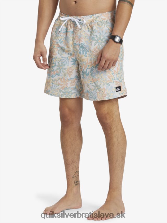 remix 17 volejov Quiksilver muži B80HXR357 breza