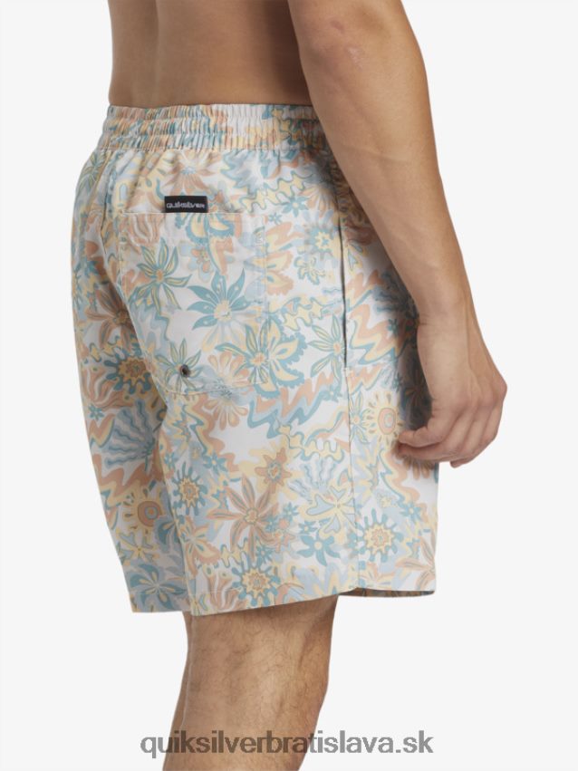 remix 17 volejov Quiksilver muži B80HXR357 breza