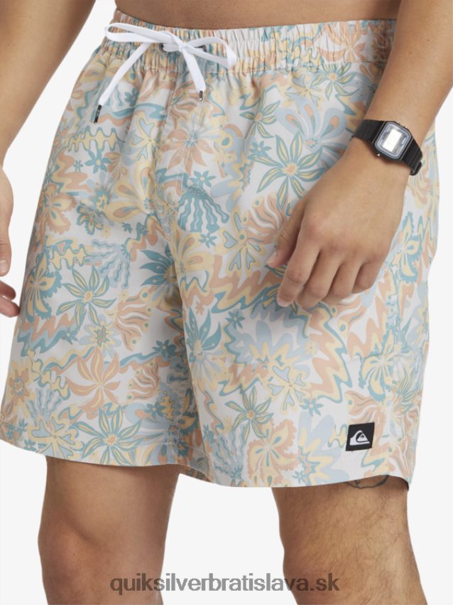 remix 17 volejov Quiksilver muži B80HXR357 breza