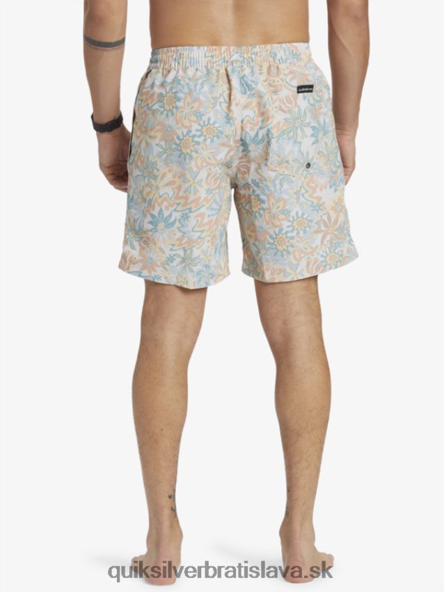 remix 17 volejov Quiksilver muži B80HXR357 breza