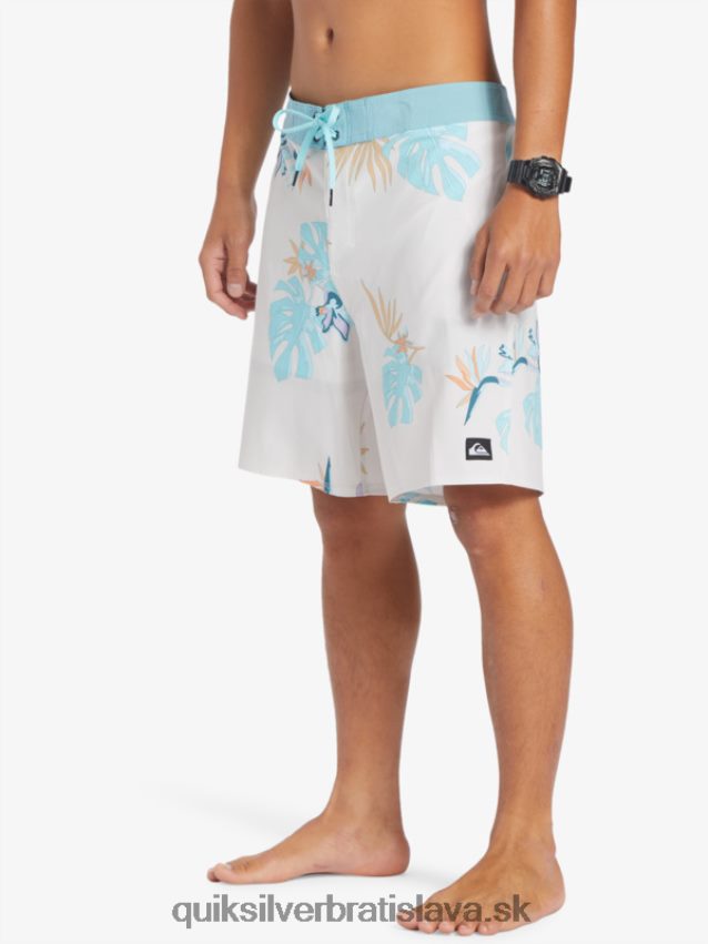 surfsilk qs 69 18 šortky Quiksilver muži B80HXR238 breza