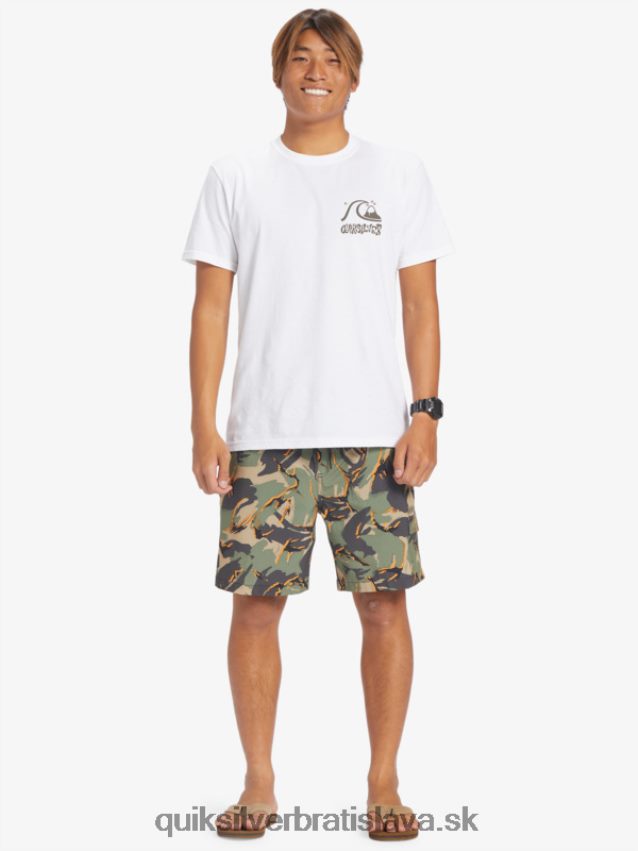 taxer cargo 18 obojživelných šortiek Quiksilver muži B80HXR252 camo - plage