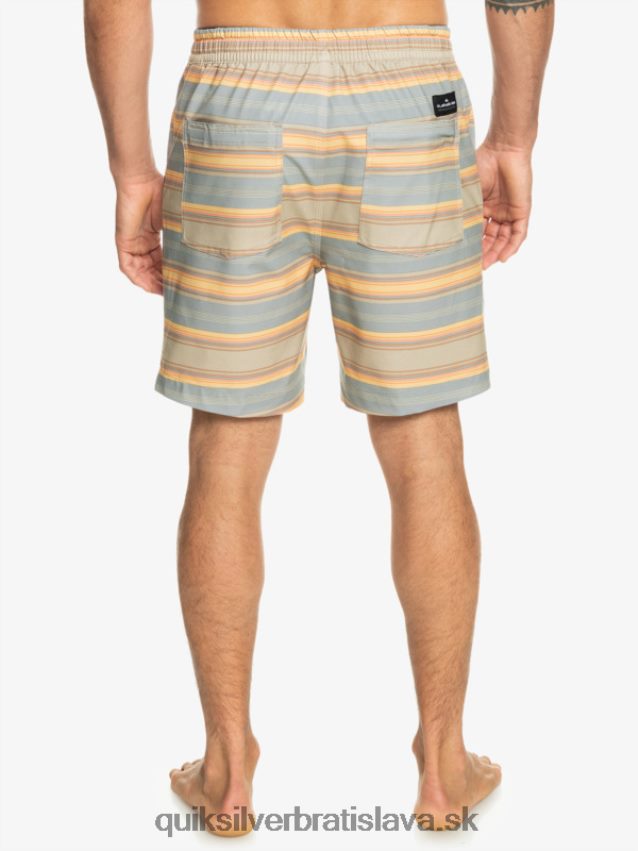 taxer print 18 obojživelných šortiek Quiksilver muži B80HXR104 plaza taupe surf days pruh