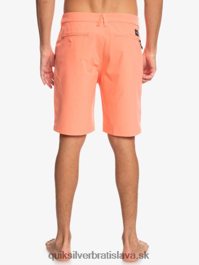 union heather 20 obojživelných šortiek Quiksilver muži B80HXR71 čerstvý losos