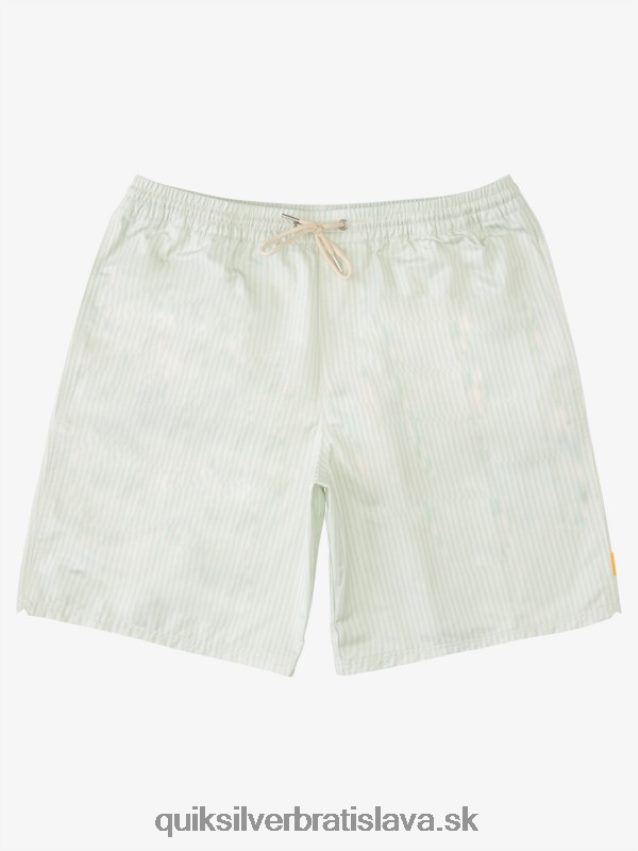 vodácka paluba pruh 19 salv Quiksilver muži B80HXR1843 jemný zelený prúžok paluby