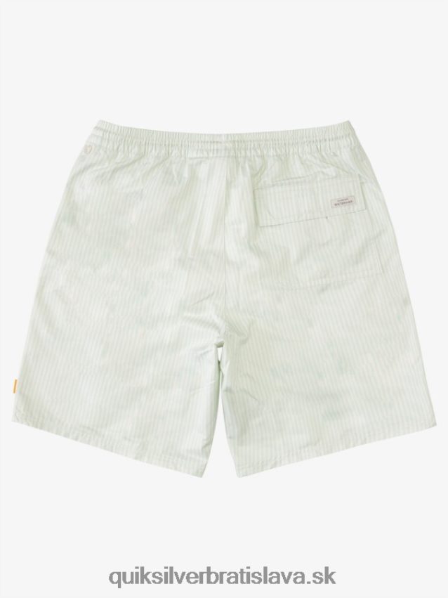 vodácka paluba pruh 19 salv Quiksilver muži B80HXR1843 jemný zelený prúžok paluby