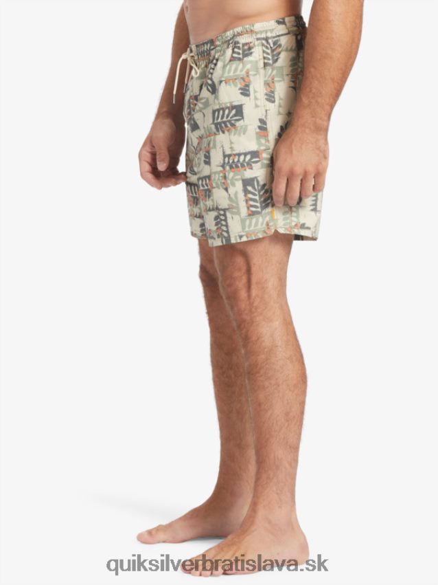 vodník kanoe útes 17 salv Quiksilver muži B80HXR546 hnedá ryža kanoe