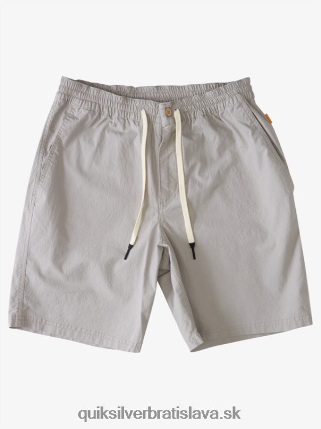 vodník po surfových šortkách Quiksilver muži B80HXR1576 sivá sivá