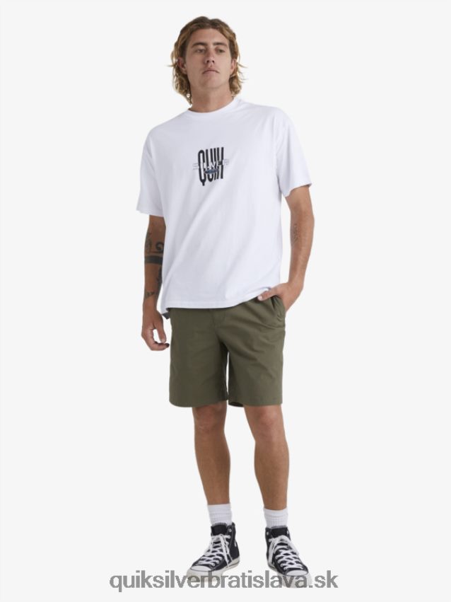 vodník po surfových šortkách Quiksilver muži B80HXR1579 zaprášená oliva