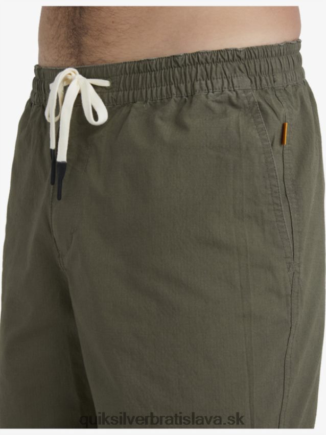 vodník po surfových šortkách Quiksilver muži B80HXR1579 zaprášená oliva