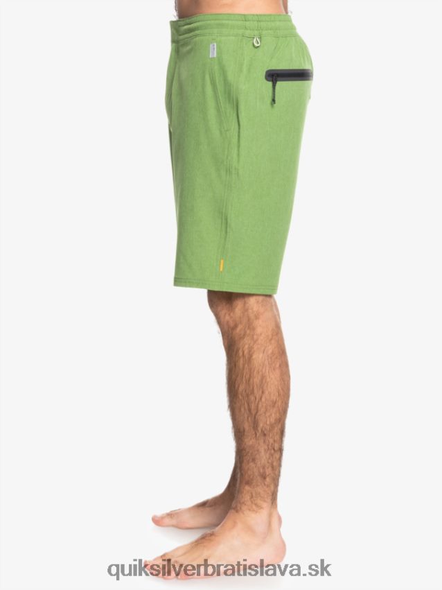 vodník suva 20 obojživelníky boardšortky Quiksilver muži B80HXR783 štvorlístok vres