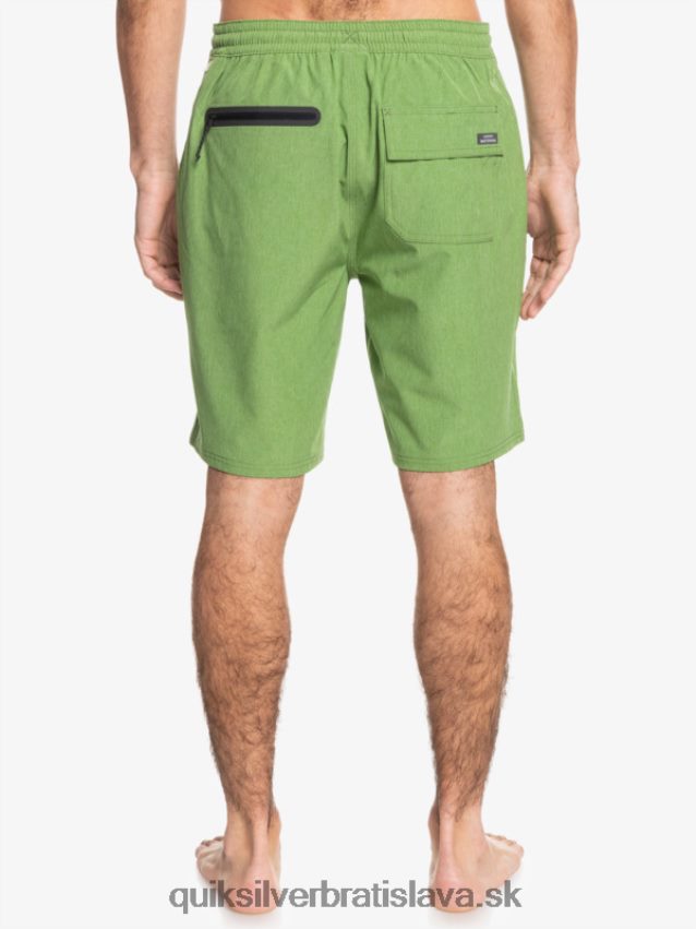 vodník suva 20 obojživelníky boardšortky Quiksilver muži B80HXR783 štvorlístok vres