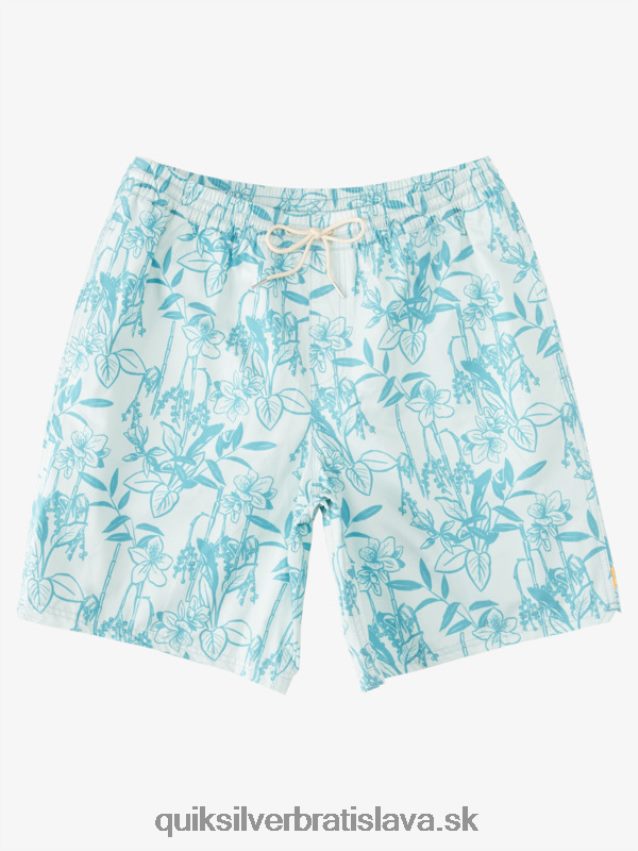 vodník voľné cesty 17 salv Quiksilver muži B80HXR939 subtílne zelené looseways vy