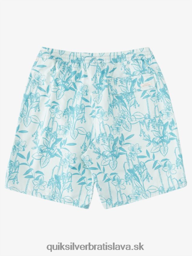 vodník voľné cesty 17 salv Quiksilver muži B80HXR939 subtílne zelené looseways vy