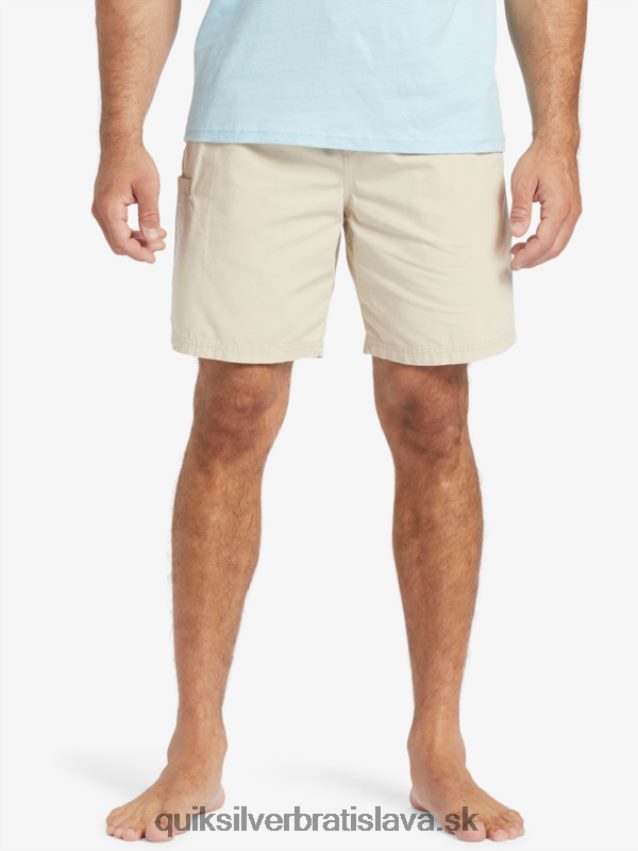 waterman last light elastic 19 shorts Quiksilver muži B80HXR255 hnedá ryža
