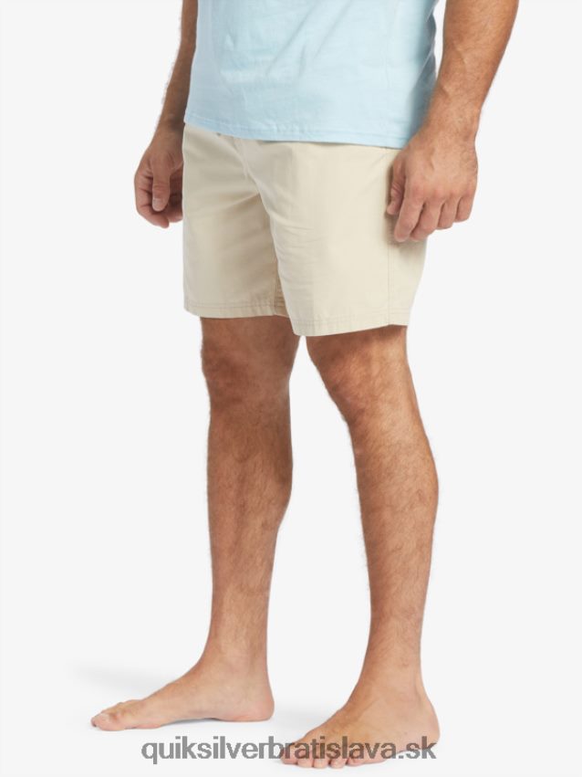 waterman last light elastic 19 shorts Quiksilver muži B80HXR255 hnedá ryža
