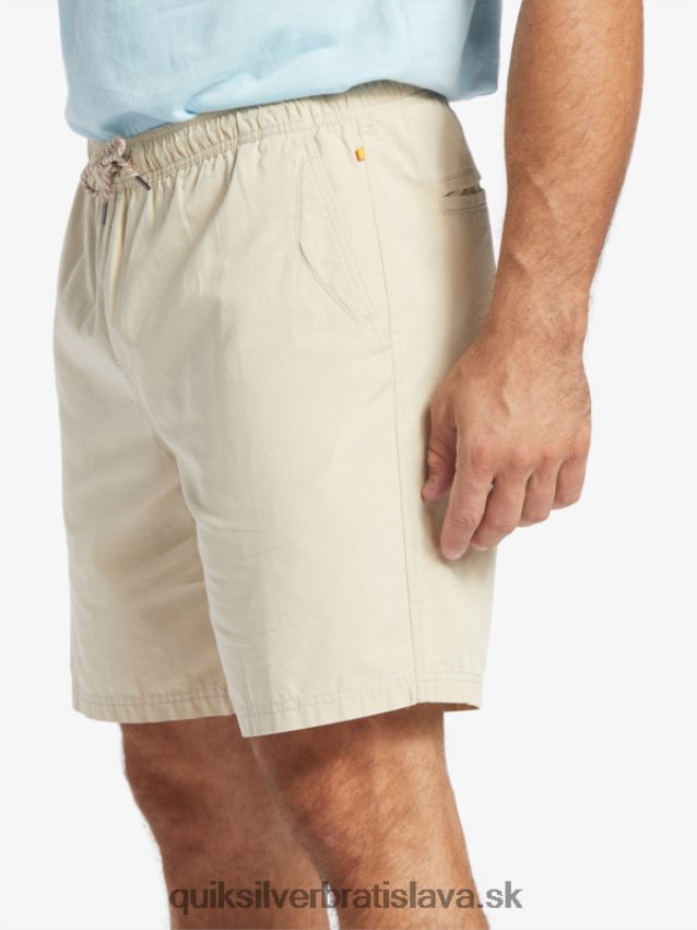 waterman last light elastic 19 shorts Quiksilver muži B80HXR255 hnedá ryža