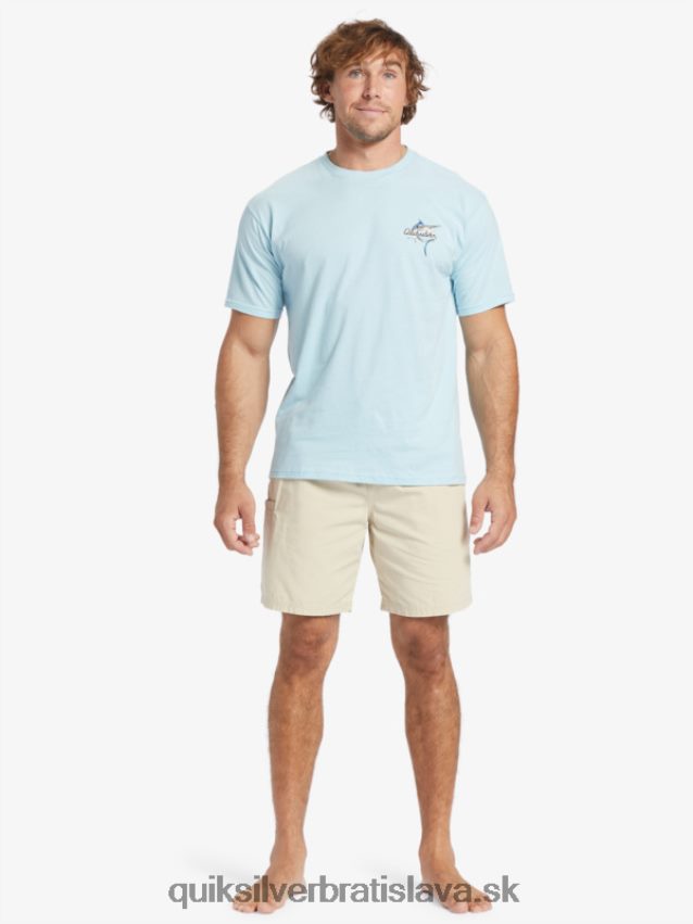waterman last light elastic 19 shorts Quiksilver muži B80HXR255 hnedá ryža