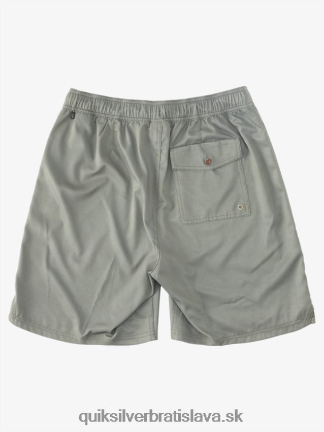 waterman scout zips obojživelník 20 boardshorts Quiksilver muži B80HXR1325 zaprášená oliva