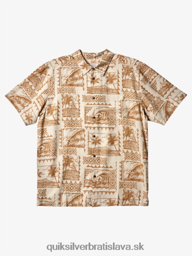 waterman surf trippers tričko s krátkym rukávom Quiksilver muži B80HXR432 surfové výletníky z hnedej ryže