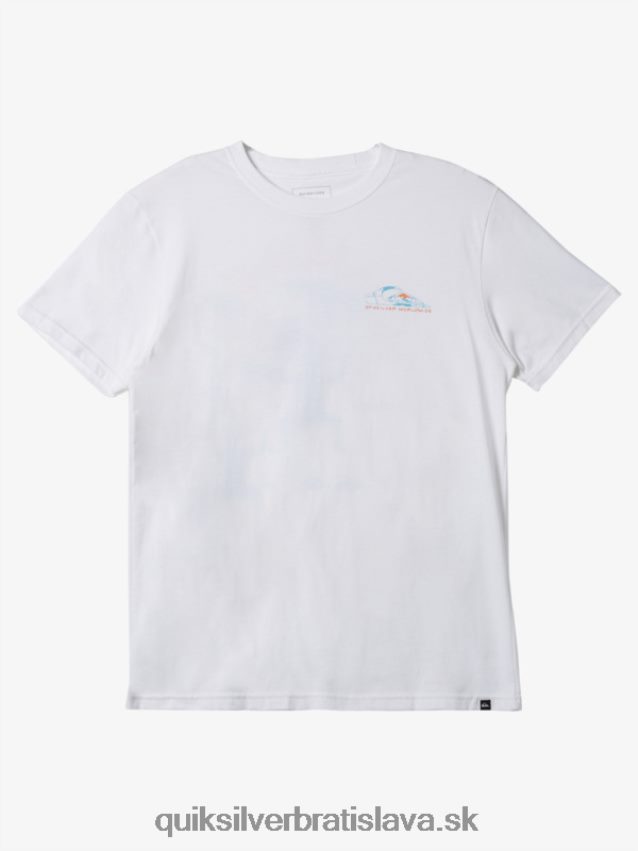 tričko Quiksilver muži B80HXR576 biely