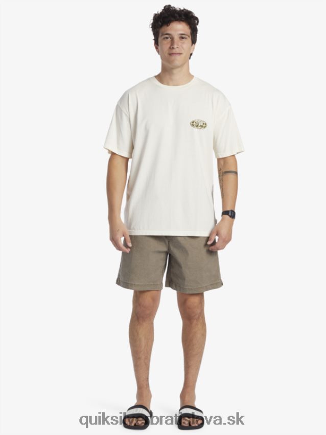 tričko s jasnou mysľou Quiksilver muži B80HXR741 breza