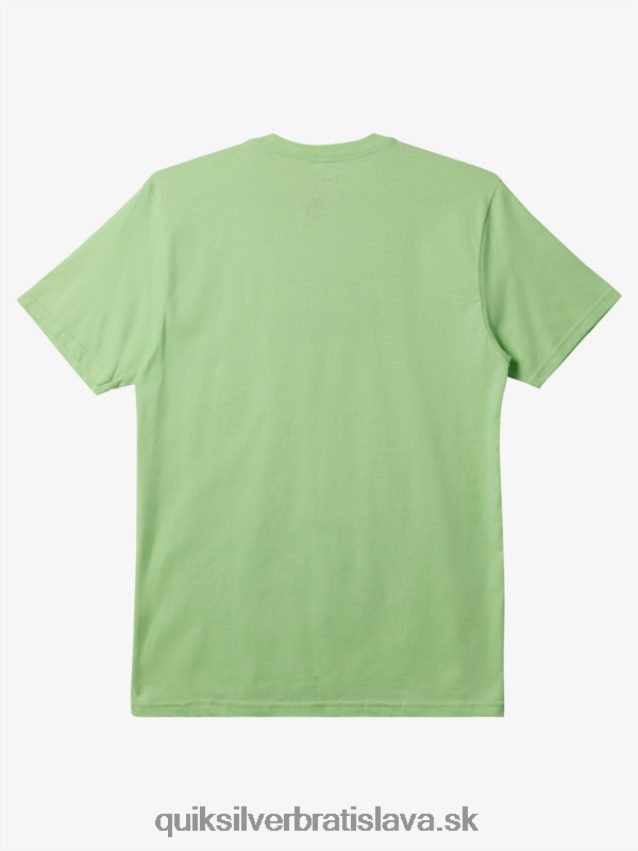 tričko s logom comp Quiksilver muži B80HXR196 raj zelený