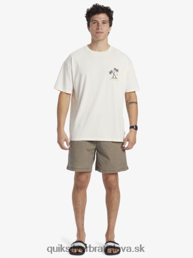 tričko s rituálmi západu slnka Quiksilver muži B80HXR391 breza