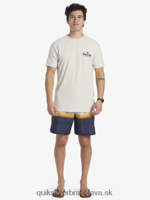 tričko so scénickými vibráciami Quiksilver x Pacifico muži B80HXR9 kameň