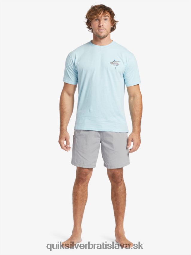 tričko vodník krása na mori Quiksilver muži B80HXR51 vodné