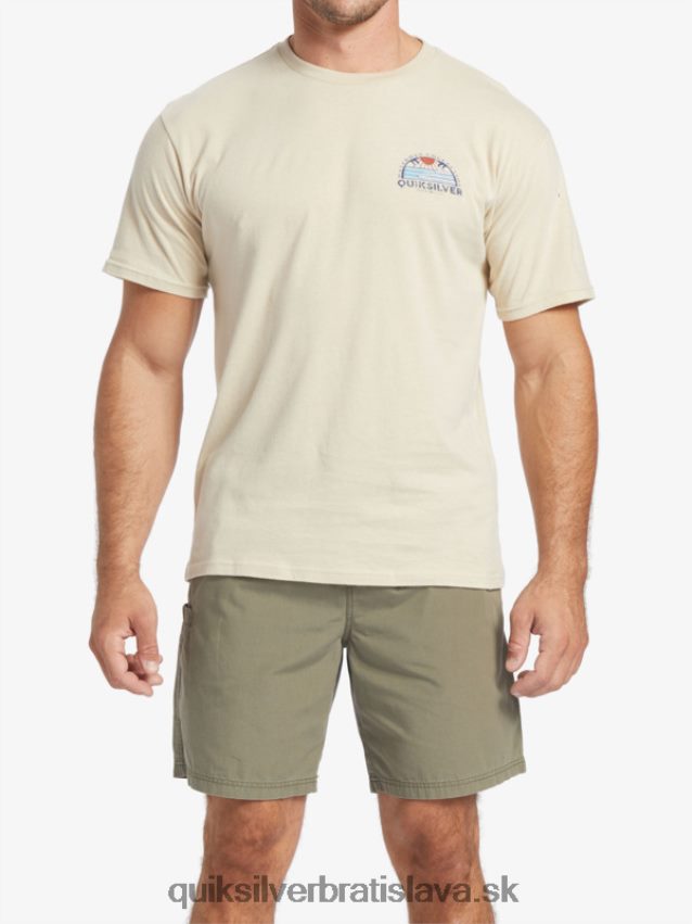 waterman set view t-shirt Quiksilver muži B80HXR38 hnedá ryža
