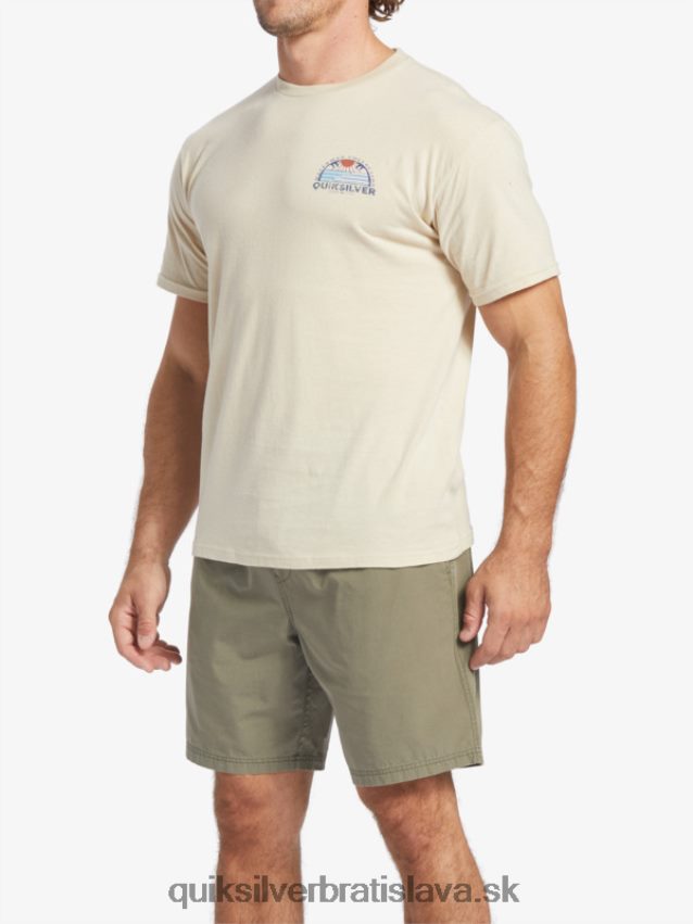 waterman set view t-shirt Quiksilver muži B80HXR38 hnedá ryža