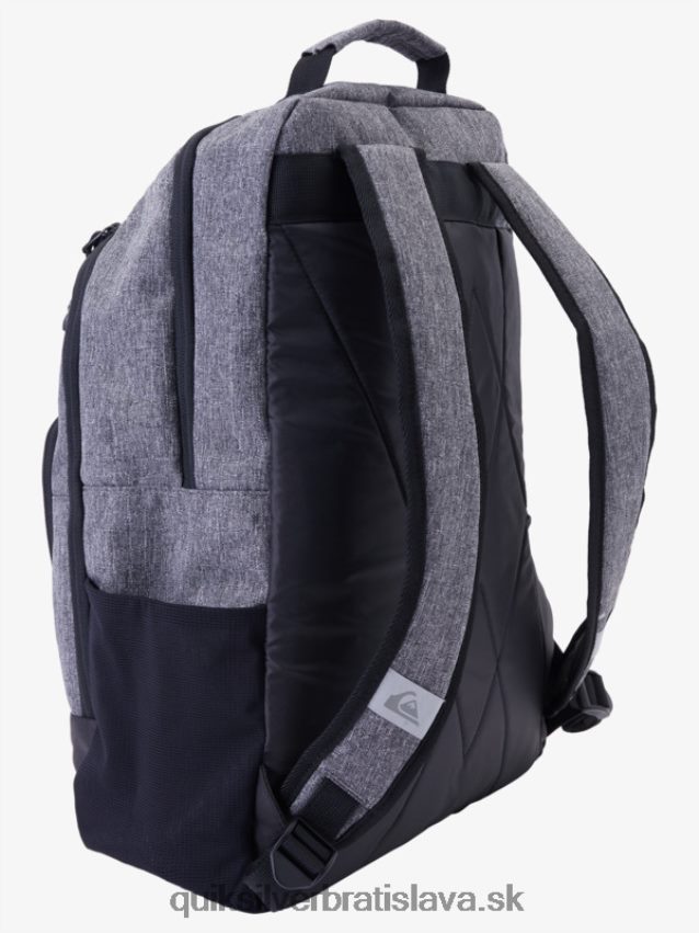 1969 špeciálny 28 l batoh Quiksilver muži B80HXR711 dedičný vres